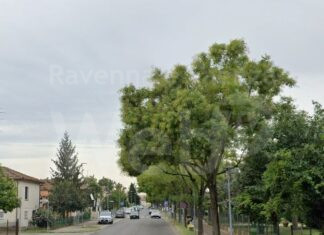 Lugo : Dopo le verifiche, interventi su nove alberi compromessi