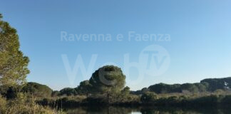 Ortazzo, “lo scandalo continua”