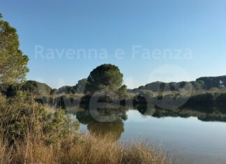 Ortazzo, “lo scandalo continua”