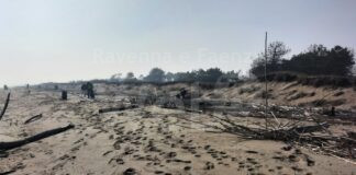 “Pulizie spiaggia d’inverno”: domenica ultimo appuntamento a Lido di Classe