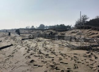 “Pulizie spiaggia d’inverno”: domenica ultimo appuntamento a Lido di Classe