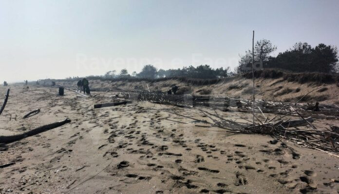 2024_02_18_pulizia Lido Dante e duna grigia erosa_ph F.Santarella