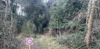 Lettera in redazione: Pineta di Classe – 1 Maggio, finalmente il Comune di Ravenna dà una regolamentazione ai ciclisti