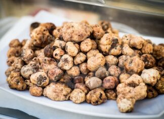 Casola Valsenio: torna la Festa del Tartufo Primaverile