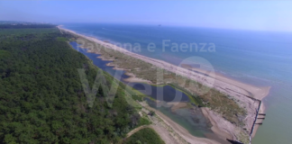 Progetto Life NatuReef, i primi risultati verso la realizzazione del reef alla foce del Bevano