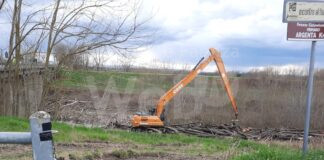 L’Agenzia regionale avvia i lavori di rimozione del legname accumulato sotto il Ponte della Bastia lungo il fiume Reno tra Conselice e Argenta