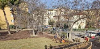 Il manto erboso utilizzato durante i Giardini di Natale lungo il Ponte delle Grazie è stato risistemato nell’area verde di via Lama