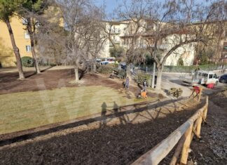 Il manto erboso utilizzato durante i Giardini di Natale lungo il Ponte delle Grazie è stato risistemato nell’area verde di via Lama