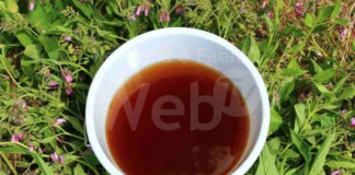 Vietato con un’ordinanza lo spargimento di borlanda fluida con problemi di carattere odorigeno