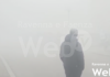 Oggi nebbia fitta nel ravennate