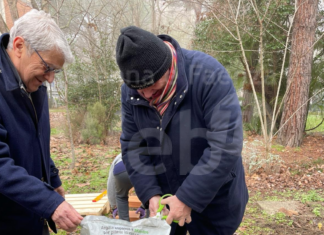 Il Rotary Club Ravenna Galla Placidia dona Orti terapeutici all’Istituto comprensivo Vincenzo Randi