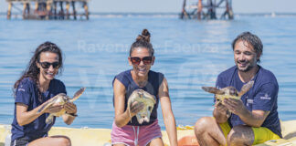 Dai cavallucci marini alle tartarughe marine, il centro ricerche CESTHA festeggia il suo primo decennale