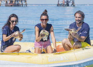 Dai cavallucci marini alle tartarughe marine, il centro ricerche CESTHA festeggia il suo primo decennale