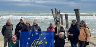 Life NatuReef, oggi il sopralluogo della Commissione europea alla foce del torrente Bevano