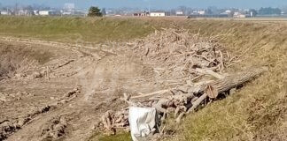 Legname caduto nei fiumi, la Regione rinnova l’autorizzazione anche per il 2024 alla raccolta per uso personale e domestico