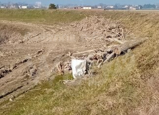 Legname caduto nei fiumi, la Regione rinnova l’autorizzazione anche per il 2024 alla raccolta per uso personale e domestico