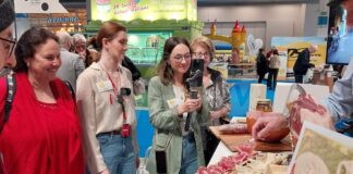 La Romagna scommette sul turismo svizzero. Il territorio si racconta a Zurigo in occasione di Fespo