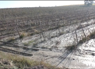 Coldiretti. Maltempo: bene il via a indennizzi per eventi catastrofali 2023