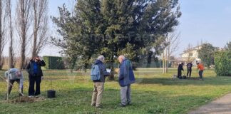 Con “M’illumino di meno” nuovi alberi a Bagnacavallo e Glorie