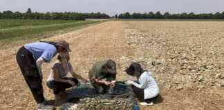 Sant’Alberto, Casa Guerrini: sabato mattina un’iniziativa sull’Archeologia del paesaggio