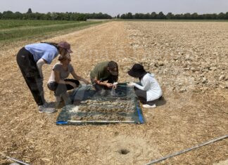Sant’Alberto, Casa Guerrini: sabato mattina un’iniziativa sull’Archeologia del paesaggio