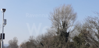 Vitali (PdF): “Rapidità nella reinstallazione del Velox da applicare alle altre criticità della città”