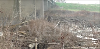 Le cataste sotto il ponte della Bastia al momento non verranno rimosse. Amarezza nel comitato