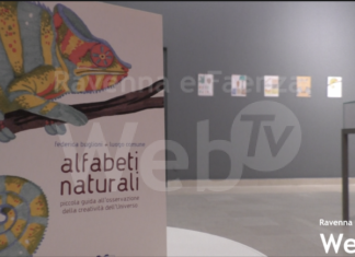 Per un mese il Mar dedicato ai bambini: dal 10 febbraio “Il Mar dei Piccoli”