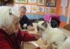 Regione: stanziati 200mila euro per un progetto di pet therapy rivolto ad anziani e disabili