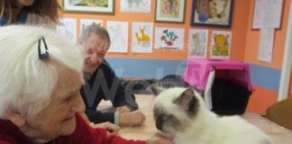 Regione: stanziati 200mila euro per un progetto di pet therapy rivolto ad anziani e disabili
