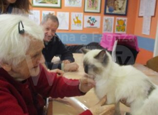 Regione: stanziati 200mila euro per un progetto di pet therapy rivolto ad anziani e disabili