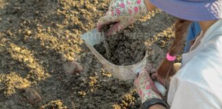 Cervia, a MUSA museo del sale continuano le chiacchierate di archeologia