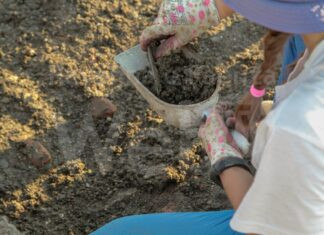 Cervia, a MUSA museo del sale continuano le chiacchierate di archeologia