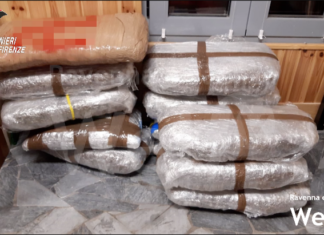 83 arresti: fermata organizzazione internazionale per lo spaccio di droga