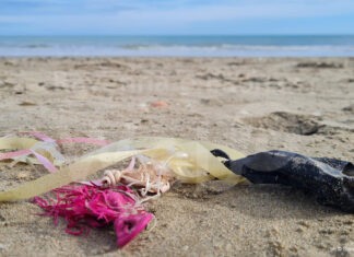 “Pulizie spiaggia d’inverno” arriva a Lido di Dante