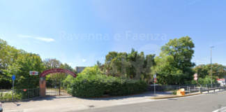 Italia Nostra: Strage di alberi a Ravenna. Un bollettino di guerra, altro che “forestazione” urbana!