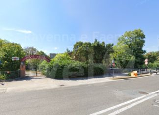 Italia Nostra: Strage di alberi a Ravenna. Un bollettino di guerra, altro che “forestazione” urbana!