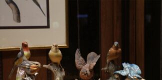 Uccelli in ceramica in mostra al Private Banking