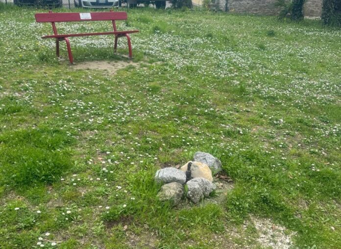 430464599_761002102795422_7406655961664305998_n