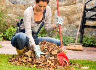 In alcune zone di Faenza al via il sondaggio sul progetto “Adotta un cassonetto per sfalci e potature”