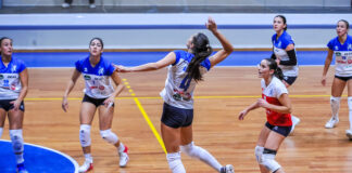 Volley: La Fenix Energia è prima in classifica