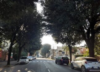 Potature e nuovi alberi, così Russi cura il suo patrimonio verde