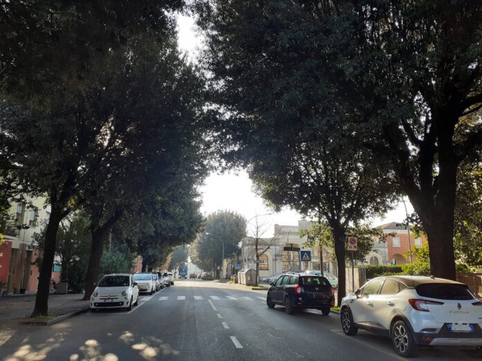 CS_48_Potature a Russi