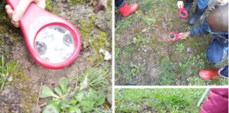 Avviato un progetto sperimentale di ortoterapia con la scuola dell’infanzia «Capucci» di Lugo