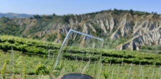 Cresce l’enoturismo in provincia di Ravenna con “Romagna a tu per tu”