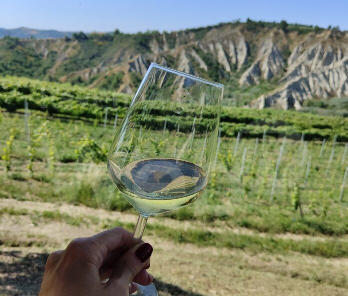 Degustazione panoramica a Cantina Bulzaga