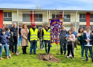 Il Lions Club Ravenna Romagna Padusa pianta altri alberi in città