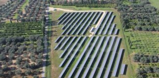 Finanziamento di 10 milioni e mezzo per l’impianto fotovoltaico nel porto di Ravenna