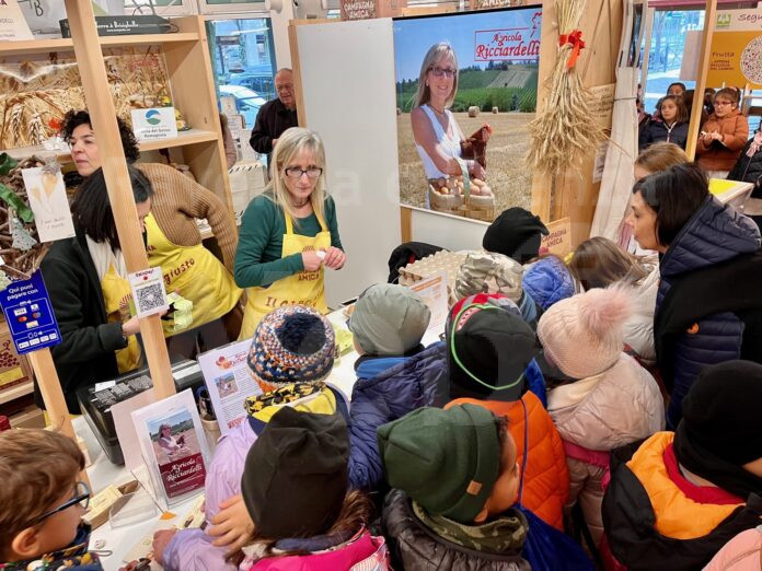 GIOCO SCUOLA ALLEVAMENTO UOVA MERCATO