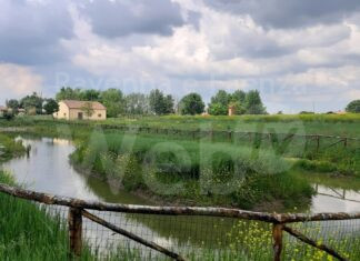 Bagnara di Romagna: una passeggiata nella storia dai Prati di Sant’Andrea alla Rocca sforzesca